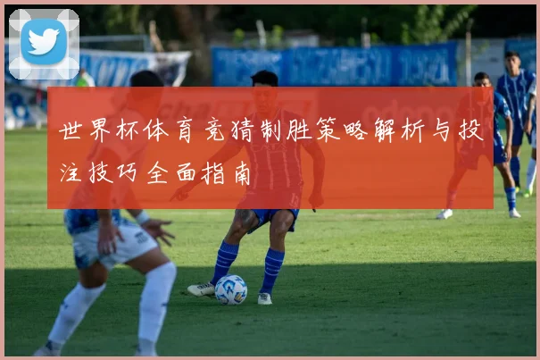 世界杯体育竞猜制胜策略解析与投注技巧全面指南