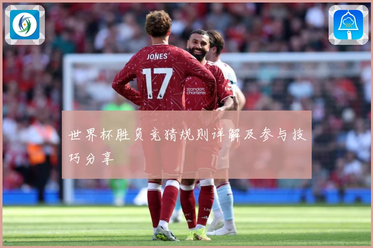 世界杯胜负竞猜规则详解及参与技巧分享