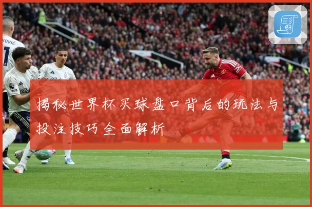揭秘世界杯买球盘口背后的玩法与投注技巧全面解析