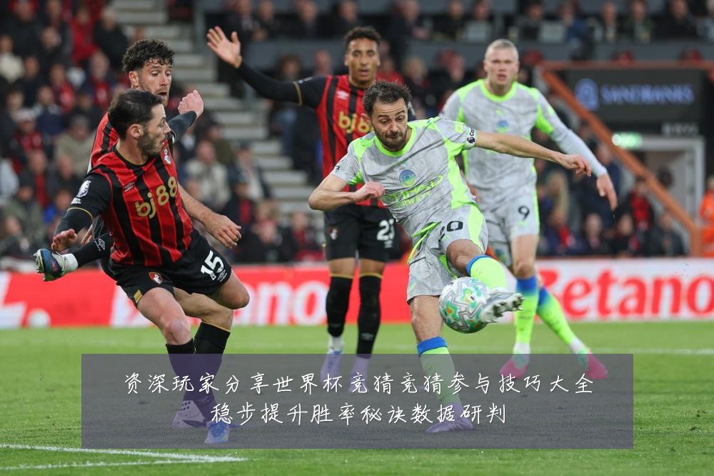 资深玩家分享世界杯竞猜竞猜参与技巧大全稳步提升胜率秘诀数据研判